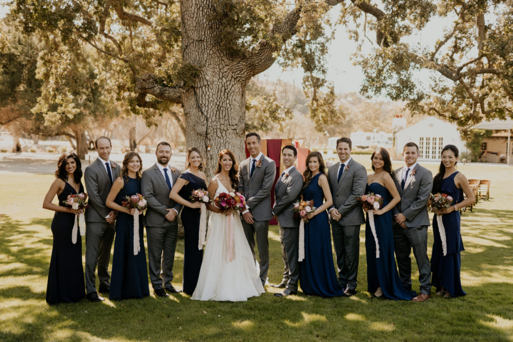 A whimsical wedding at Triunfo Creek Vineyards, bride and groom with wedding party