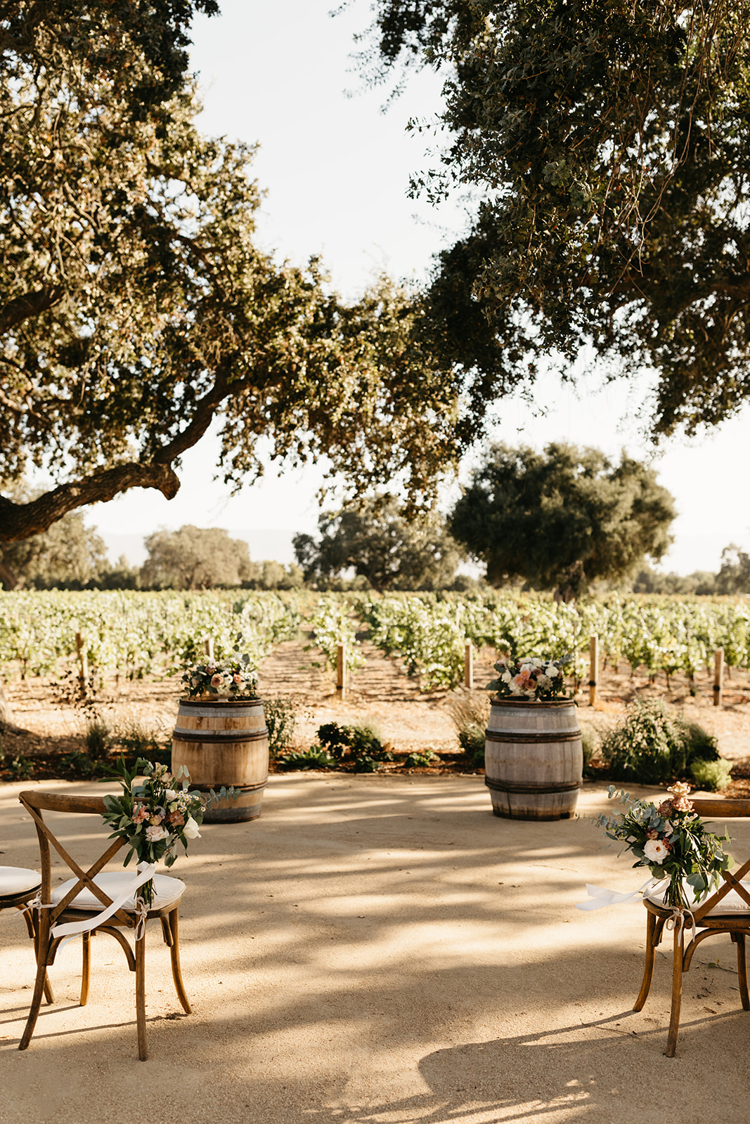 An intimate vineyard wedding ceremony at Roblar winery with 10 cross back chairs