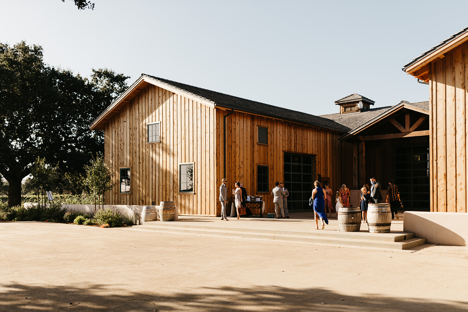 An intimate vineyard wedding at Roblar winery with 20 guests