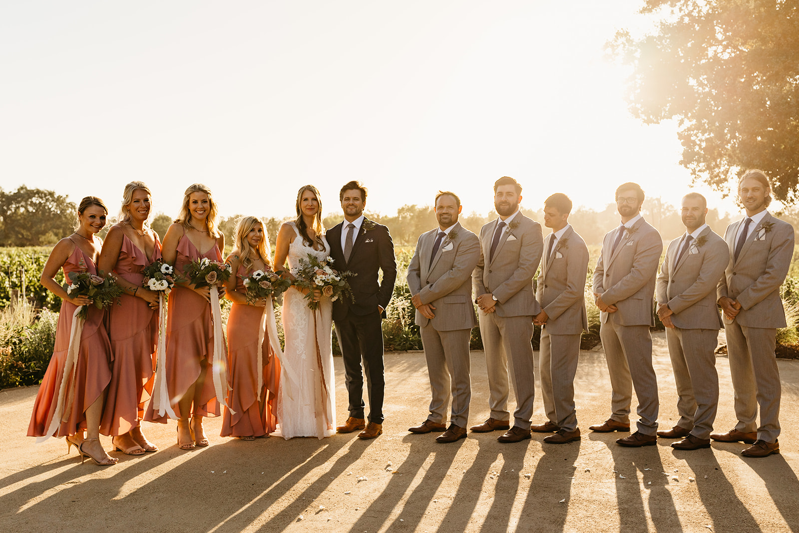 wedding party portrait shot at Roblar Winery