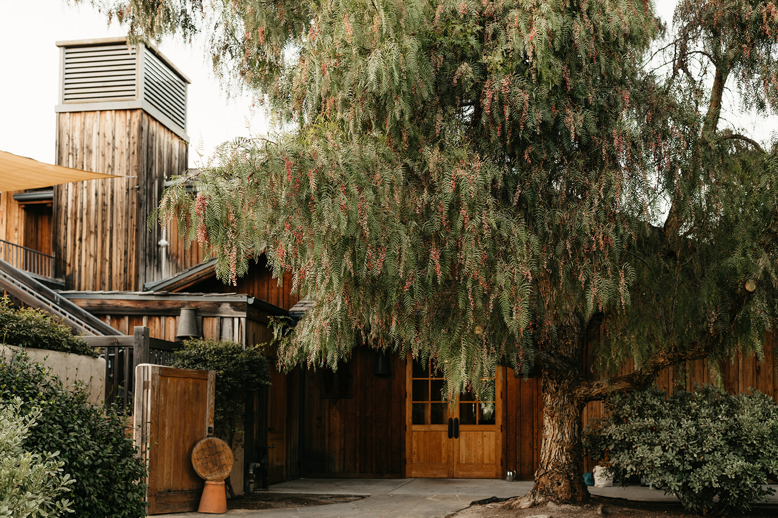 An intimate vineyard wedding at Roblar Winery