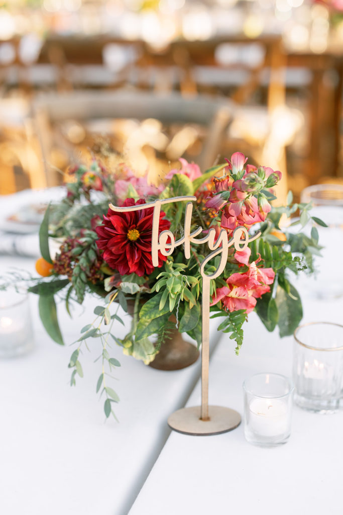 travel inspired table numbers