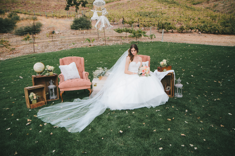 Rustic elegant styled wedding shoot, bridal portrait shot with chapel length veil