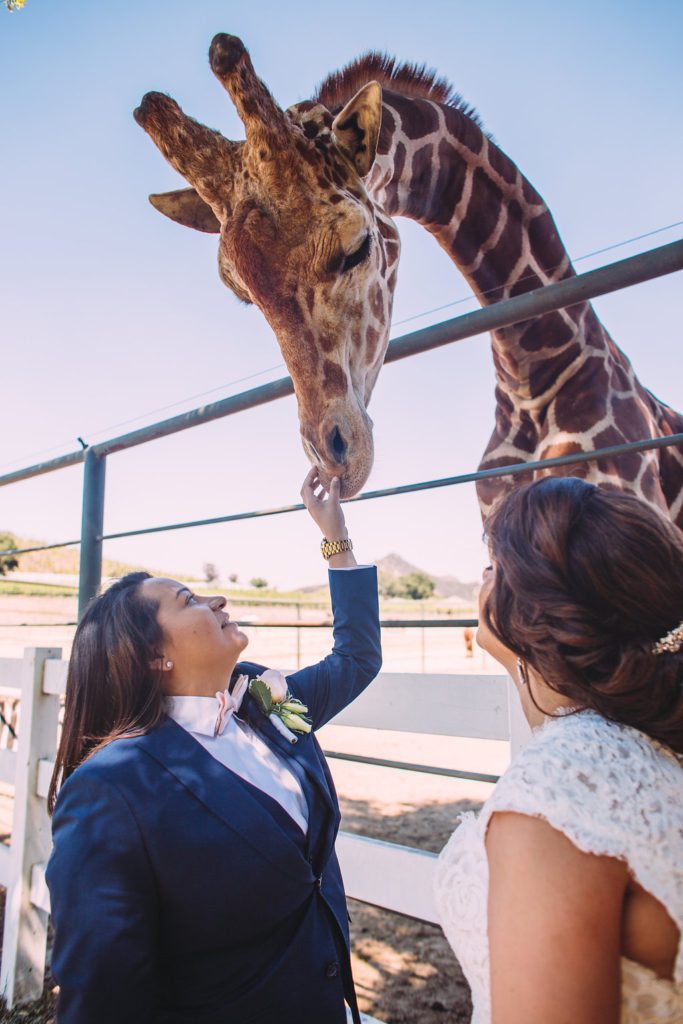 Saddlerock Ranch wedding bride and bride portraits with Stanley the Giraffe at the dome