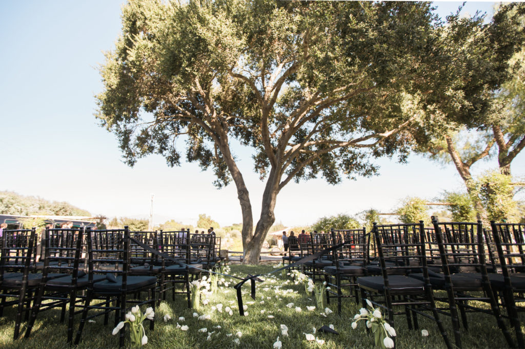Sogno del fiore wedding ceremony in Santa Ynez winery with black chivari chairs and white flowers