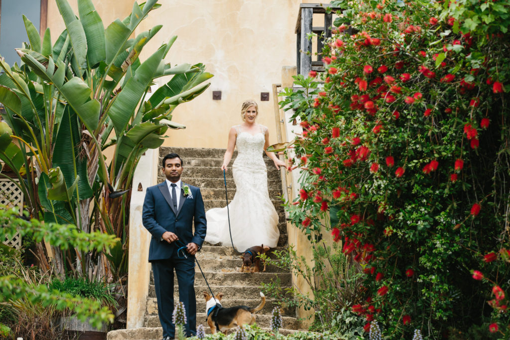 travel themed wedding at Mountain Mermaid, first look with dogs