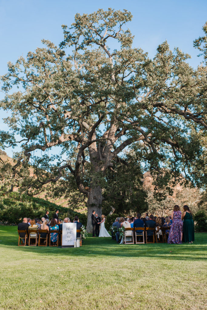 A simple and modern wedding ceremony at Triunfo Creek Vineyards
