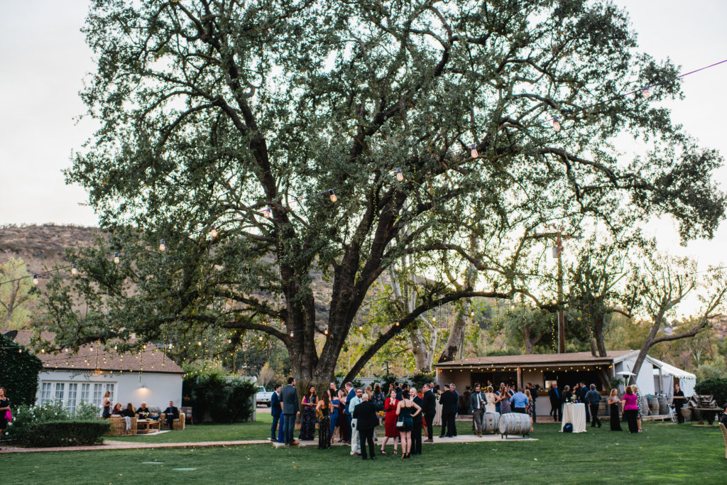 A simple and modern wedding reception at Triunfo Creek Vineyards