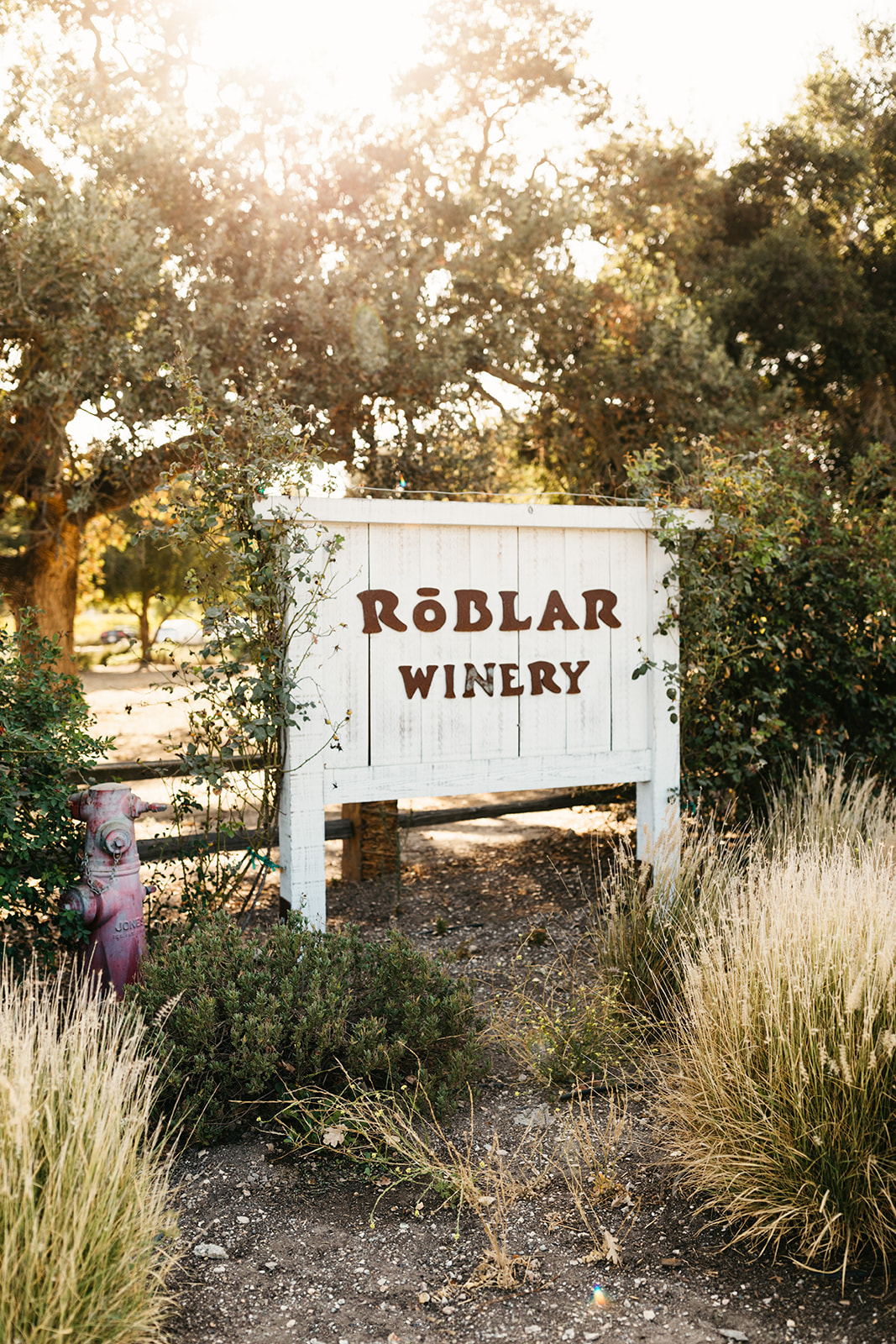 An intimate vineyard wedding at Roblar Winery