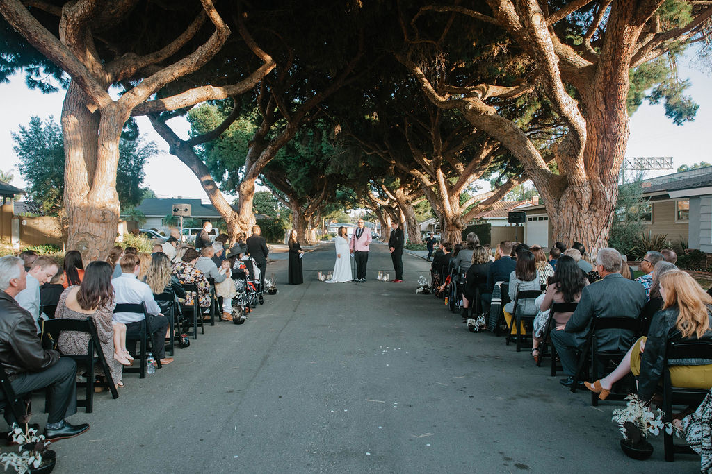 unique wedding ceremony under an urban canopy of trees in the middle of a residential street in Long Beach with dried floral aisle arrangements and black chairs