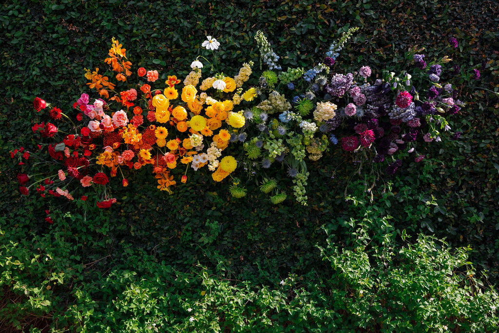 rainbow hanging floral arrangement against a wall of greenery